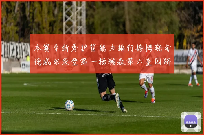 本赛季新秀护筐能力排行榜揭晓考德威尔荣登第一杨瀚森第六奎因跻身前十