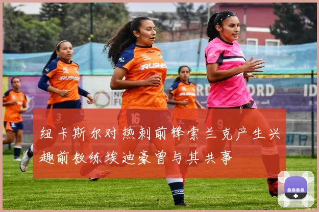 纽卡斯尔对热刺前锋索兰克产生兴趣前教练埃迪豪曾与其共事